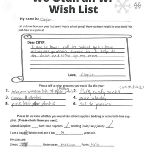 Toy drive wish list 466 for 14 year old female