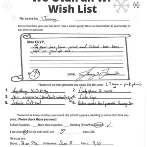 Toy drive wish list 795 for 17 year old female