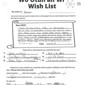 Toy drive wish list 236 for 2 month old male