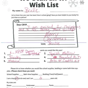 Toy drive wish list 823 for 6 year old female