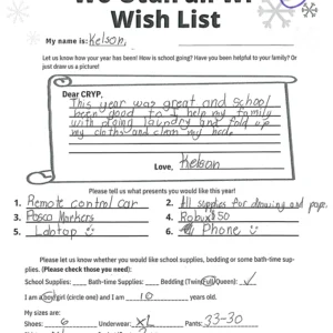 Toy drive wish list 176 for 10 year old male