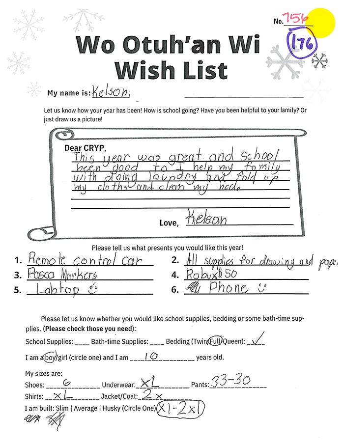 Toy drive wish list 176 for 10 year old male