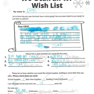 Toy drive wish list 21 for 12 year old male