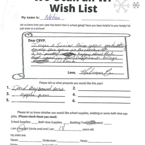 Toy drive wish list 7 for 18 year old male