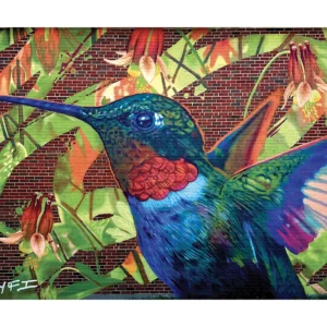 Hummingbird by Cyfi 2025 Limited Edition Print