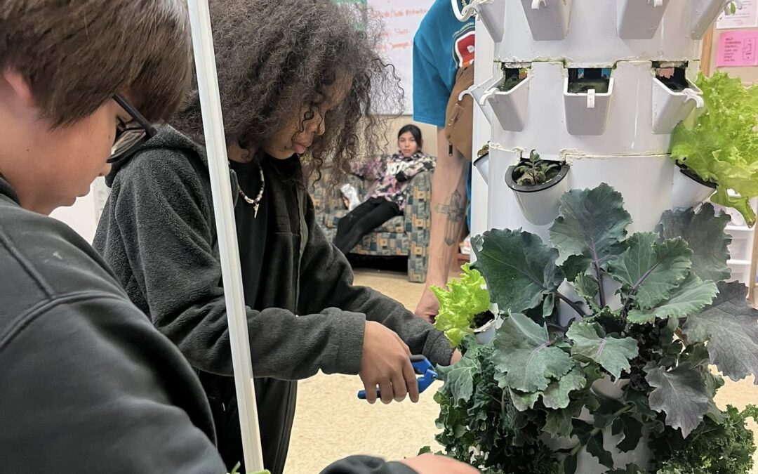 CRYP Reports Strong Winter Attendance and Programming at The Main